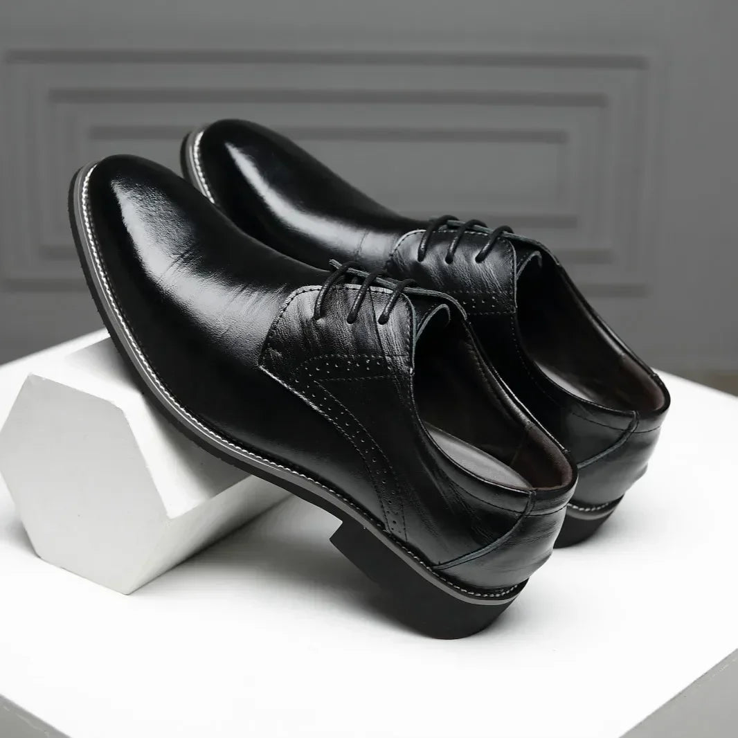 Albero Oxford Shoes